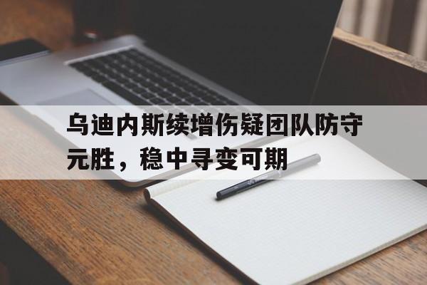 关于乌迪内斯续增伤疑团队防守元胜，稳中寻变可期的信息